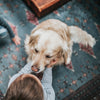 ROAM® Bucky Funny Bone™ Dog Treat