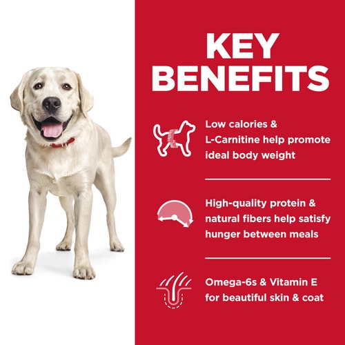 Hill's Science Diet Adult Large Breed Light Chicken Meal & Barley Dog Food