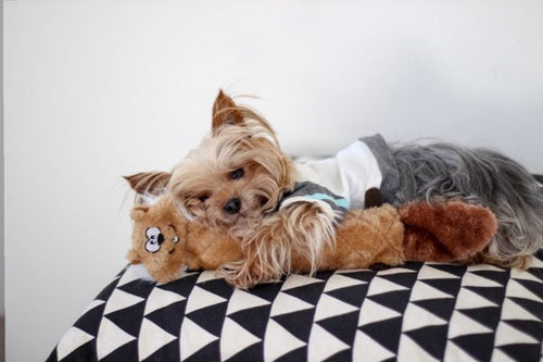 ZippyPaws Jigglerz® - Chipmunk Dog Toy