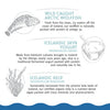 Icelandic+™ Chewy Jerky Bars Wolffish, Skyr, & Kelp Recipe Dog Treats