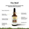 Adored Beast The Wolf | Species Appropriate Probiotic