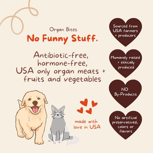 CocoTherapy Organ Bites! Pork Organs + Apples + Coconut - Raw Organ Meat Treat for dogs and cats