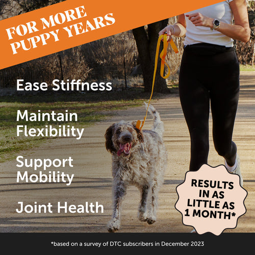 Pet Honesty Hip + Joint Health Supplement Chicken Flavor for Dogs