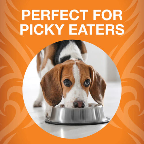 Koha Freeze-Dried Raw Bites Chicken Entrée for Dogs