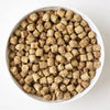 Koha Freeze-Dried Raw Bites Pork Entrée for Dogs