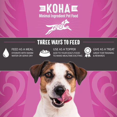 Koha Freeze-Dried Raw Bites Pork Entrée for Dogs