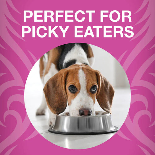 Koha Freeze-Dried Raw Bites Pork Entrée for Dogs