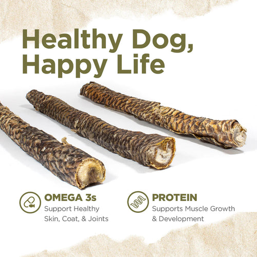 Natural Farm Power Fish Sticks for Dogs