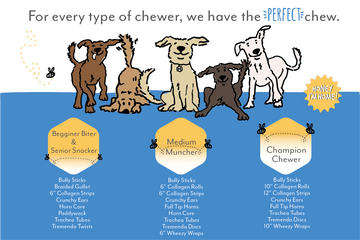 All American Pets Honey I'm Home Tremenda Disc Dog Treats