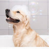 Wee Away Skunk Odor Eliminator