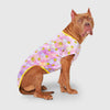 Canada Pouch Follow Me Tee UV Reveal Dog Shirt