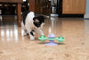 Hero Nala™ Whirly Bird Spinner Cat Toy