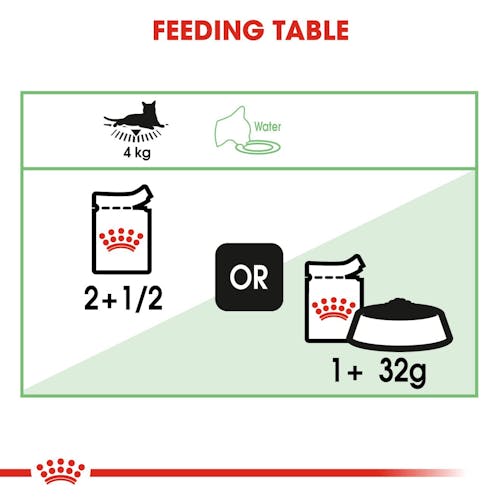 Royal Canin Digestive Sensitive in Gravy Wet food for Cat