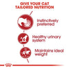 Royal Canin Instinctive Chunks in Gravy Wet Food For Cat