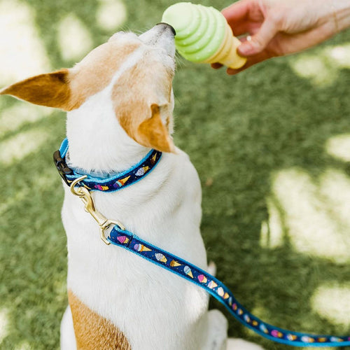 Up Country Ice Cream Dog Collar