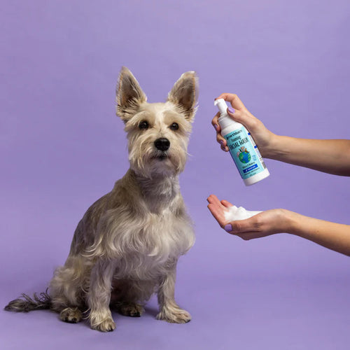 Earthbath Foaming Facial Wash for Dogs & Cats