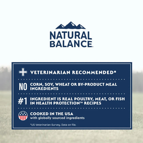 Natural Balance Chicken, Brown Rice & Pumpkin Small Breed Recipe Dry Dog Food