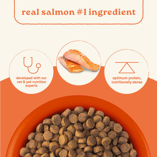Canidae All Life Stages Dry Dog Food Real Salmon & Ancient Grains Recipe