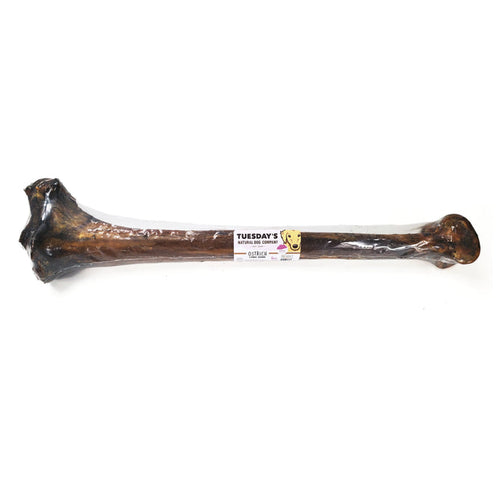 Tuesdays Natural Dog Company Ostrich Long Bone