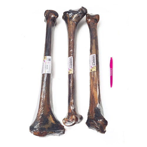 Tuesdays Natural Dog Company Ostrich Long Bone