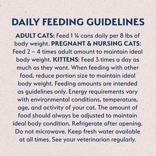 Natural Balance Salmon Recipe Paté Cat Food