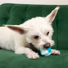 KONG Duets Dental Ball Dog Toy