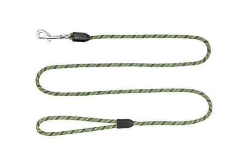 RC Pet Rope Leash for Dogs