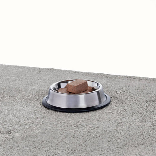 Primal Pet Foods Frozen Raw Nuggets Cat Food Beef & Salmon Recipe