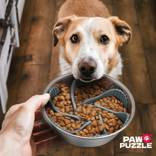 Palz & Co Paw Puzzle Slow Feeder Dog Bowl Insert