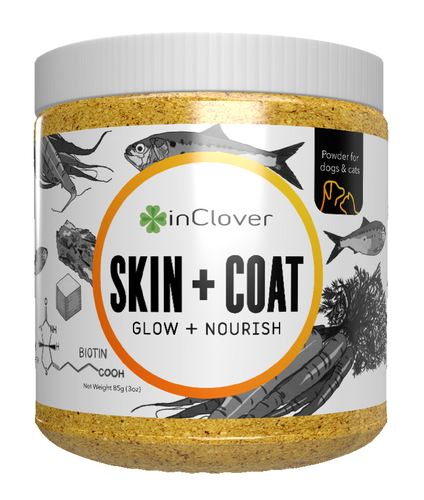 InClover Skin + Coat Supplement for Dogs + Cats (BioRadiant)