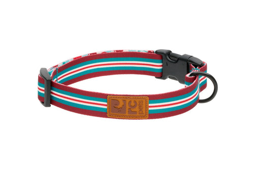 RC Pet Eco Clip Collar for Dogs