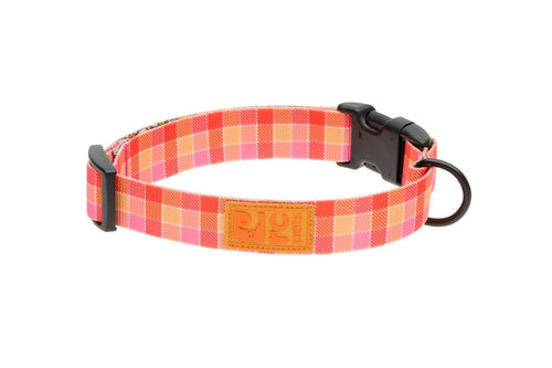 RC Pet Eco Clip Collar for Dogs