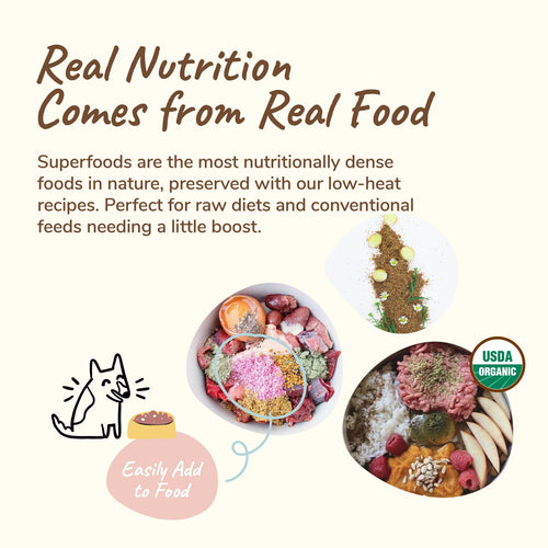 Kin + Kind Healthy Calm Supplement