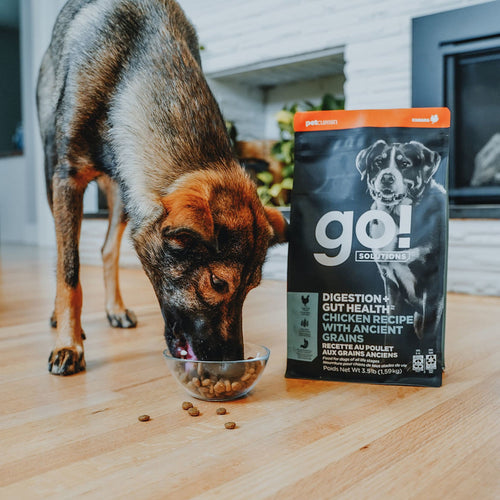 Petcurean Go! Solutions Digestion + Gut Health Chicken Dry Dog Food with Grains