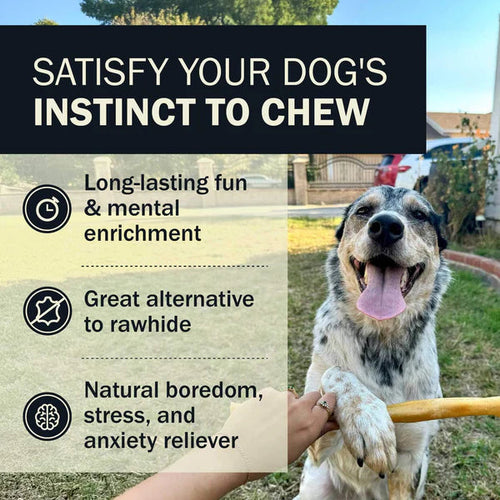 Redbarn Collagen Wrapped Esophagus Slice Dog Chews