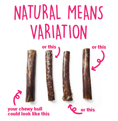 Tuesdays Natural Dog Company 6 Chewy Bulls (Bulk) Dog Treats