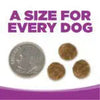 NutriSource® Large Breed Puppy Recipe Healthy Grain Free Puppy Food