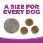 NutriSource® Large Breed Puppy Recipe Healthy Grain Free Puppy Food