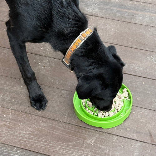 SodaPup Garden Design eTray Enrichment Shallow Slow Feeder Dog Bowl