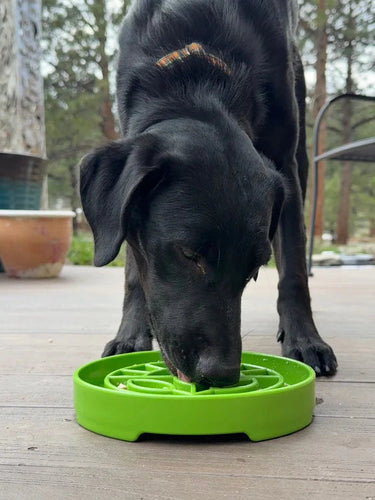 SodaPup Garden Design eTray Enrichment Shallow Slow Feeder Dog Bowl