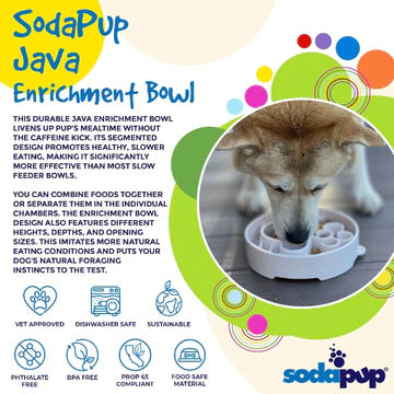SodaPup Java Design eBowl Enrichment Slow Feeder Bowl for Dogs