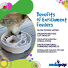 SodaPup Java Design eBowl Enrichment Slow Feeder Bowl for Dogs