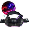 Joyride Harness NightSafe LED Light Up Dog Harness 2.0