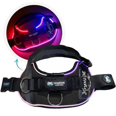 Joyride Harness NightSafe LED Light Up Dog Harness 2.0