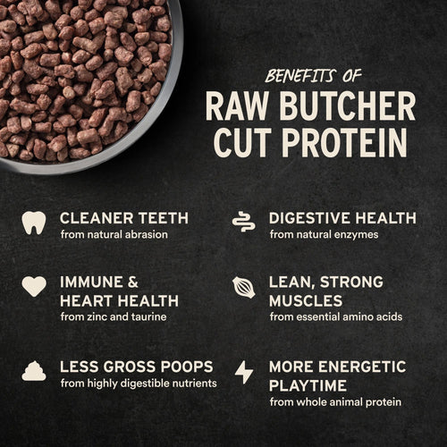Vital Essentials Freeze-Dried Raw Protein Chicken Crunchy Nibs Cat Food