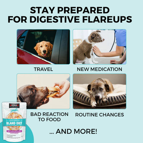 Koha Limited Ingredient Wet Bland Diet Beef & White Rice Recipe for Dogs