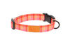 RC Pet Eco Clip Collar for Dogs