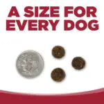 NutriSource® Beef Meal & Barley Recipe Healthy Affordable Dry Dog Food