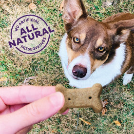 Old Mother Hubbard Crunchy Classic Natural Just Veg'N Biscuits Dog Treats