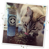 Meowijuana Feline Frost Catnip Blend